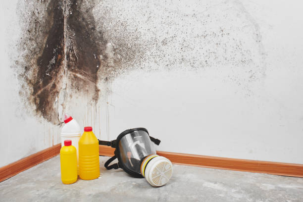 Chesterfield, SC Mold Removal Company