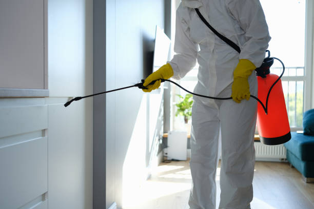 Best Home Mold Removal  in Chesterfield, SC