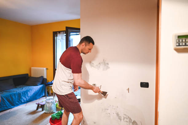 Best Emergency Mold Removal  in Chesterfield, SC